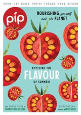 Issue 27