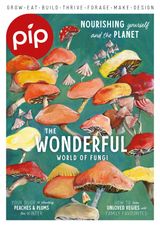 Issue 28