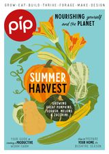 Issue 30