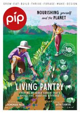 Issue 32