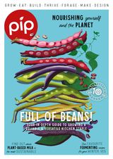 Issue 33