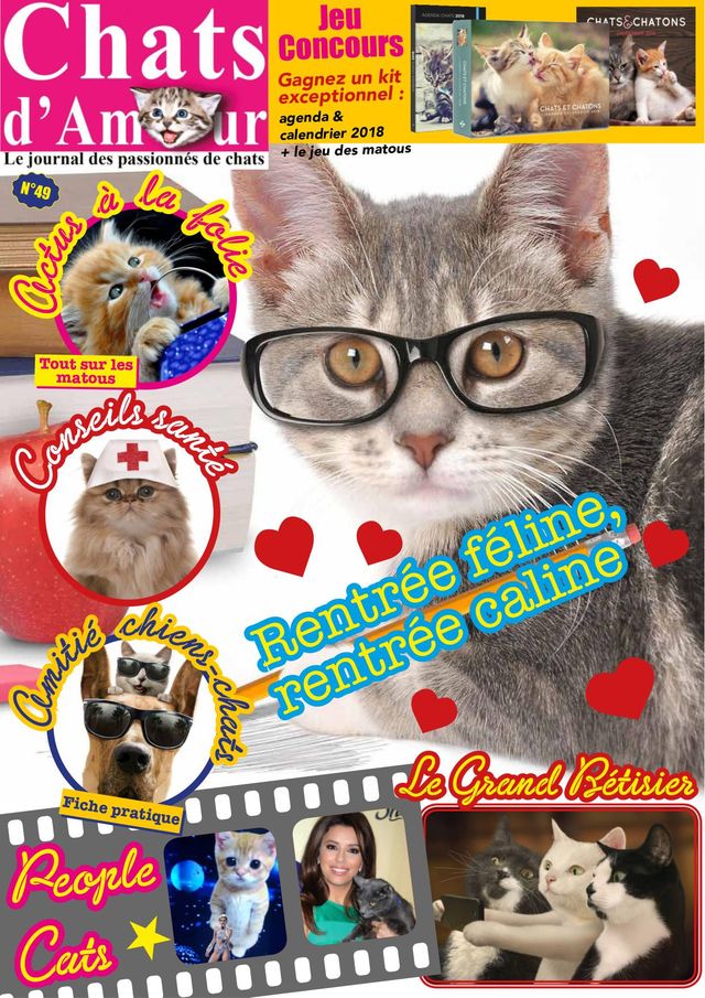 Magzter GOLD ile Sınırsız Olun