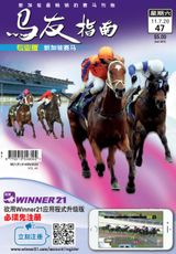 新加坡赛马，11.7.2020