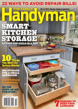 The Family Handyman