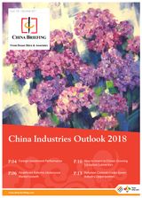 China Industries Outlook 2018