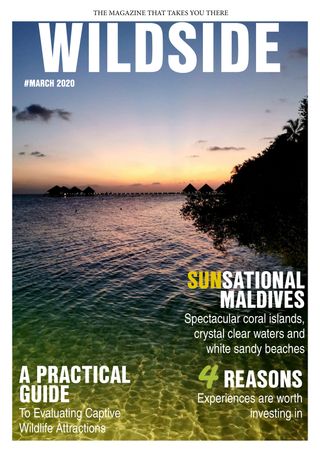 Wildside Magazine  Cover - March 2020 Edition