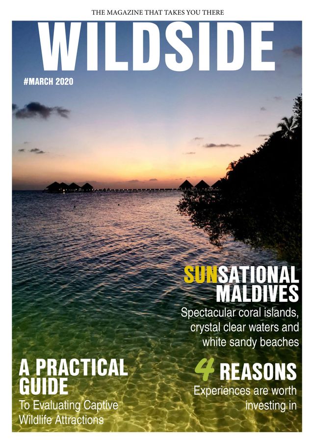 Wildside Magazine