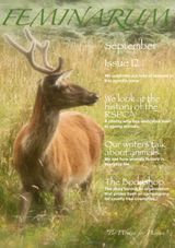 Issue 12
