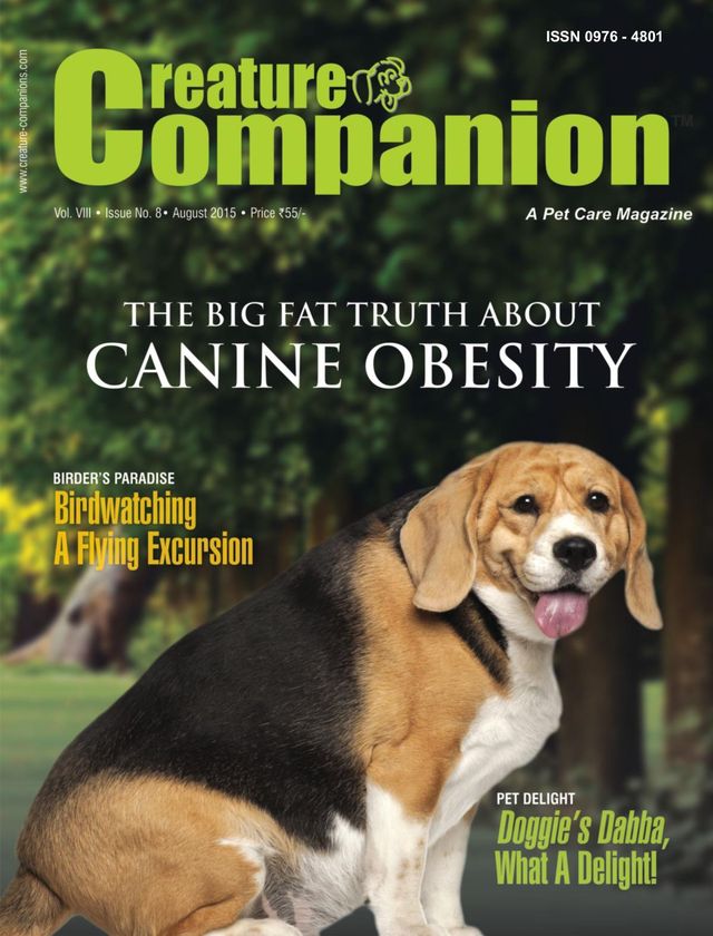 Creature Companions