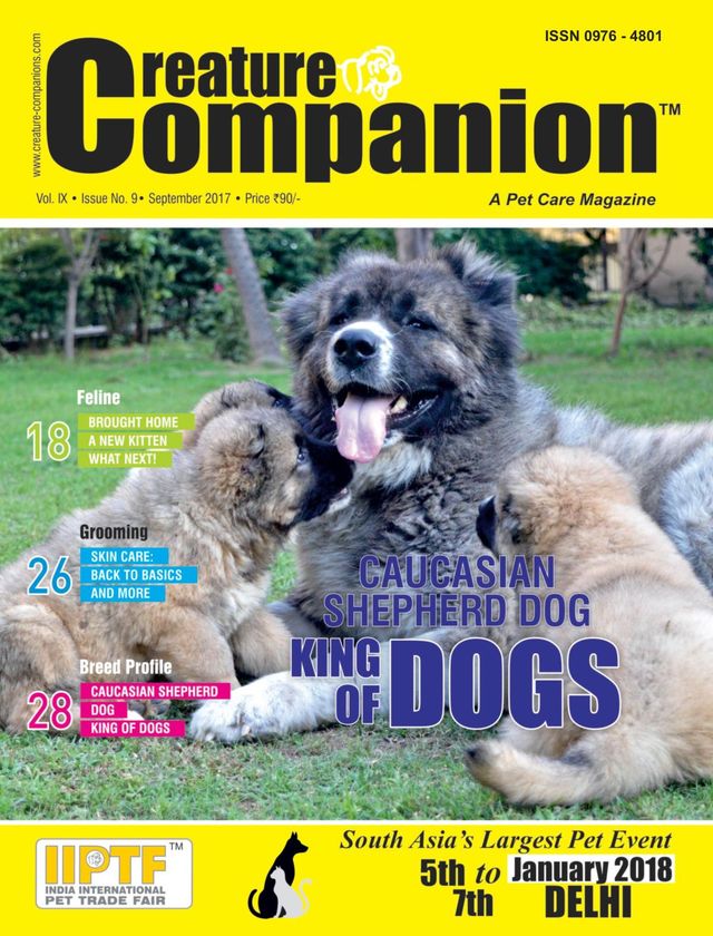 Creature Companions