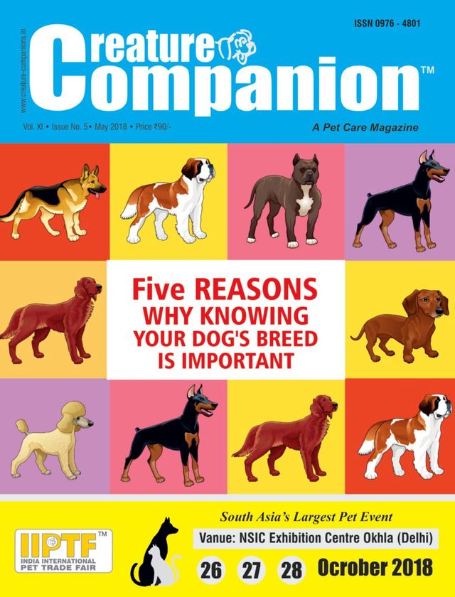 Creature Companions