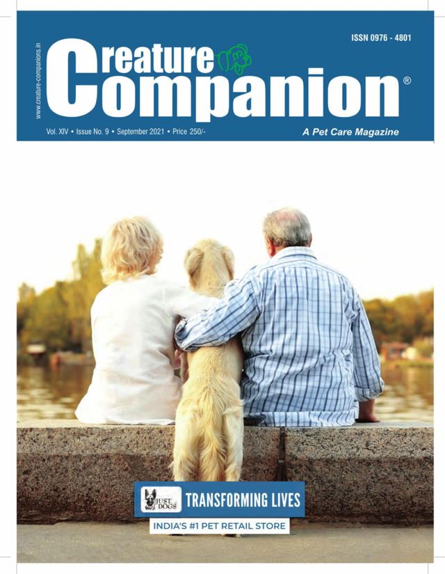 Creature Companions