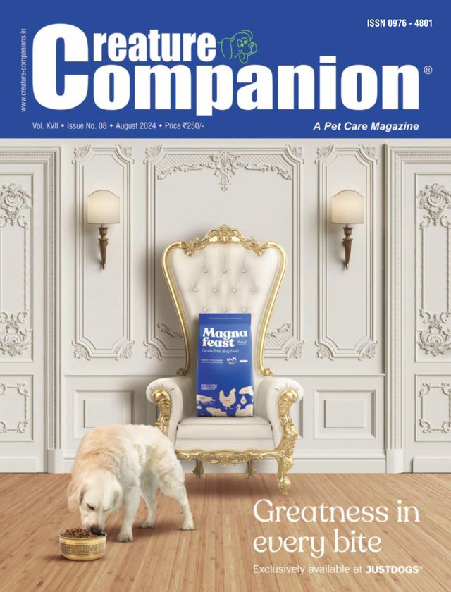 Creature Companions