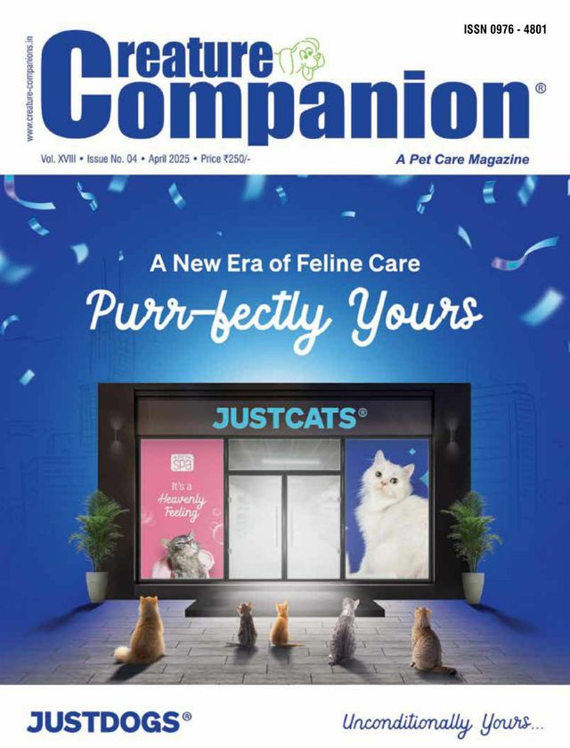 Creature Companions