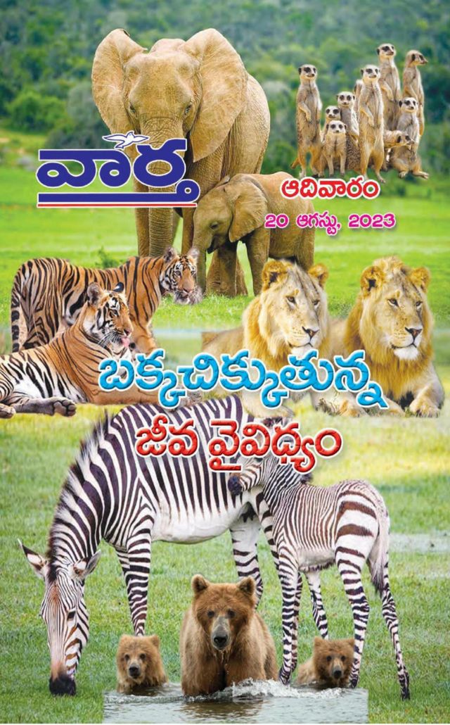 Vaartha-Sunday Magazine