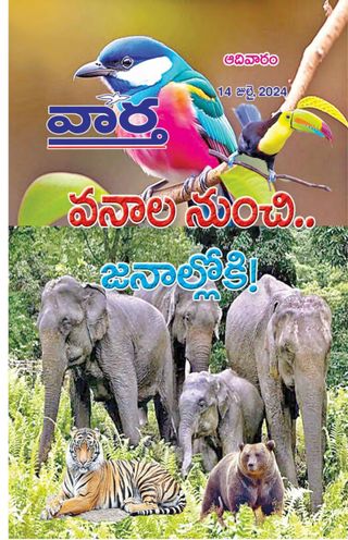 Vaartha-Sunday Magazine