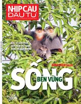 NCDT Xuân Bính Thân 2016