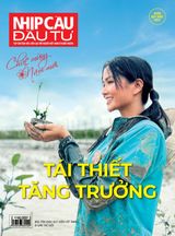 NCDT Xuân 2023