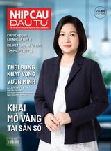 Nhịp Cầu Đầu Tư