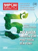 Nhịp Cầu Đầu Tư