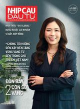 Nhịp Cầu Đầu Tư