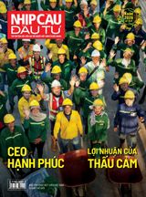 Nhịp Cầu Đầu Tư
