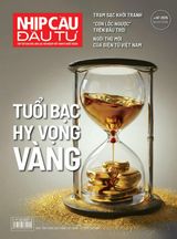 Nhịp Cầu Đầu Tư