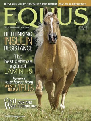 Equus