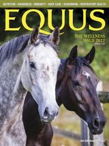 The Wellness Issue 2022