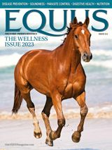 The Wellness Issue 2023