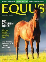 Equus