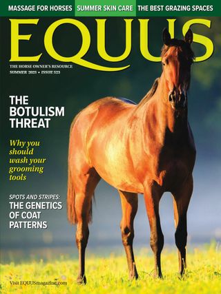 Equus  Cover - Summer 2025 Edition