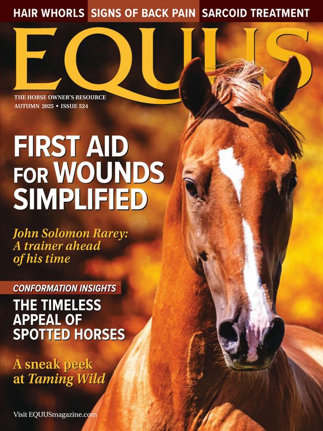 Equus