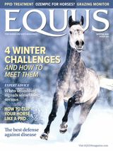 Equus