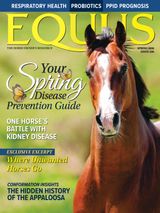 Equus