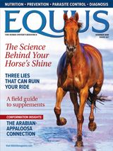 Equus