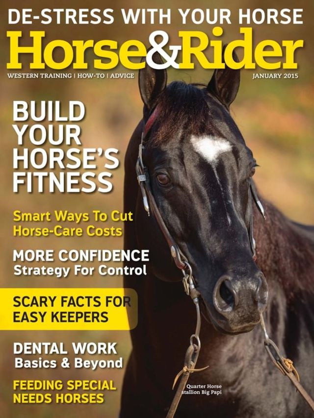 Magzter GOLDで無制限に