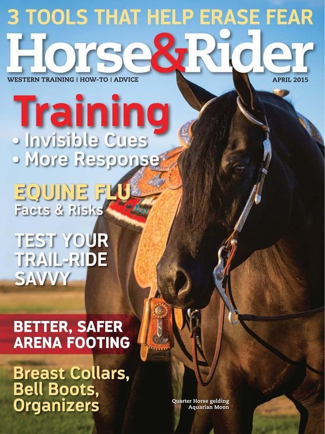 Horse and Rider