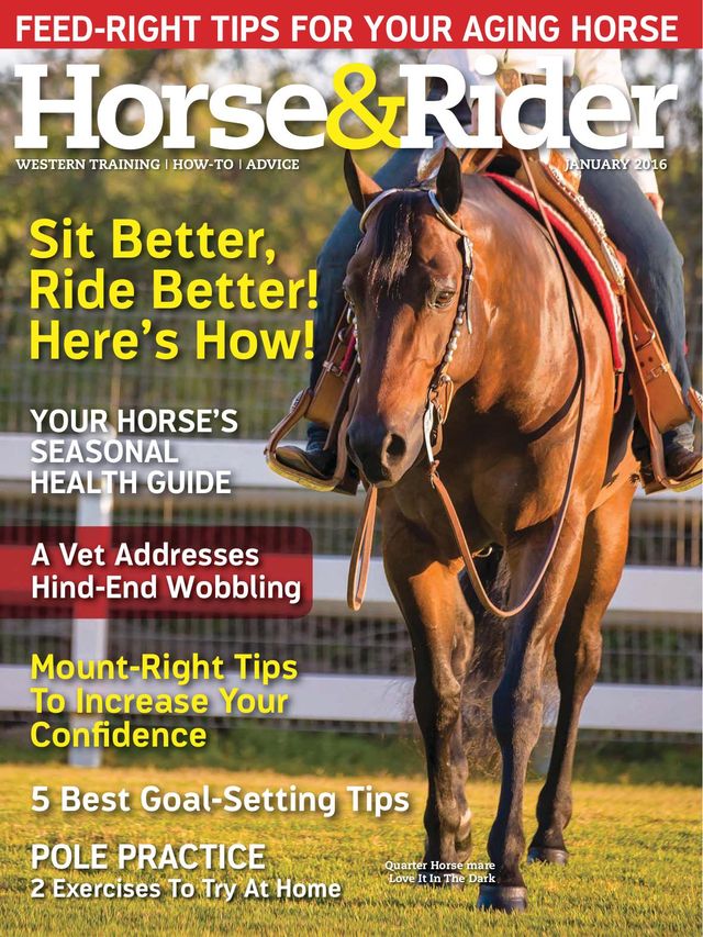 Magzter GOLDで無制限に