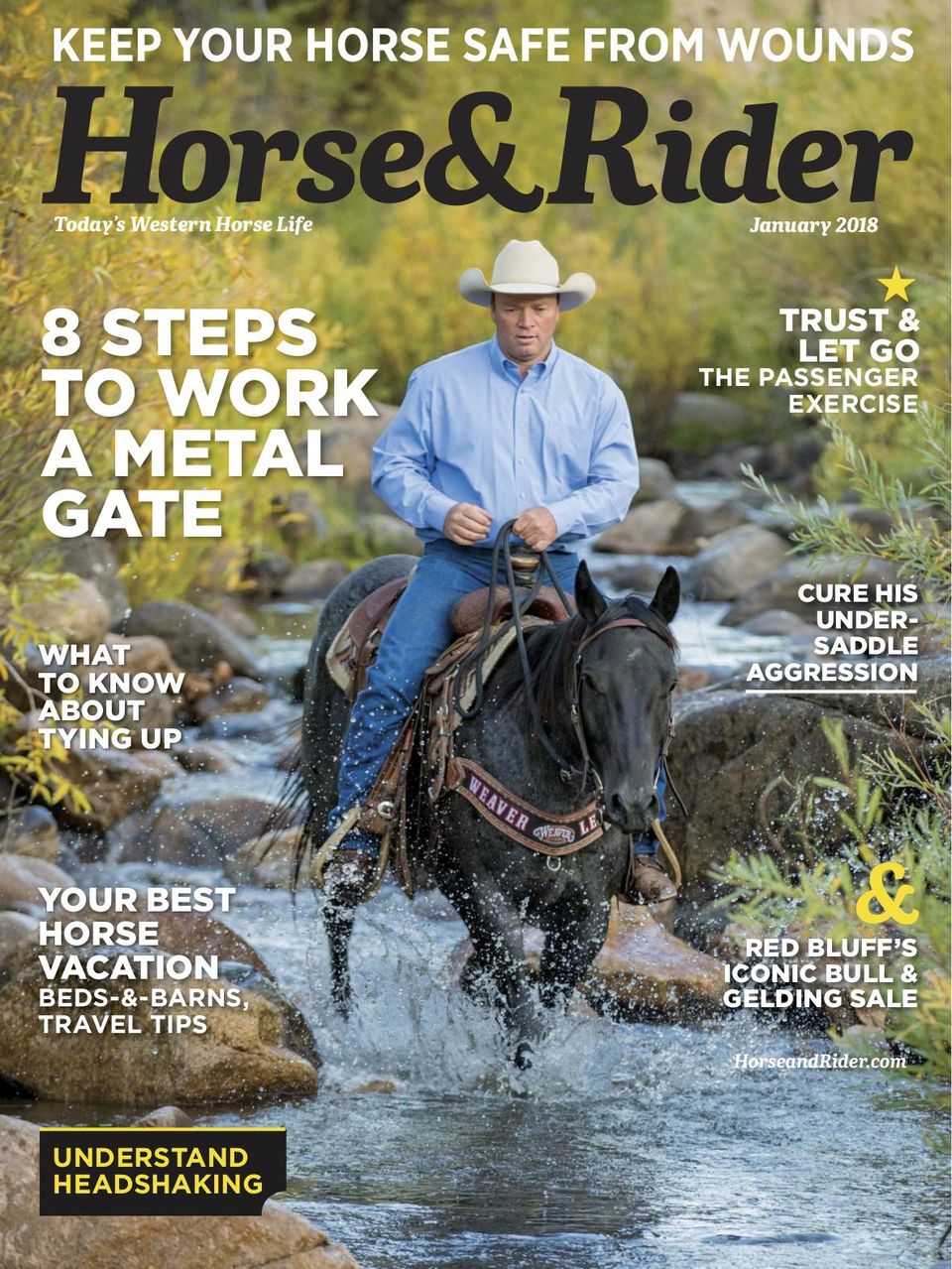 Get digital access to Horse and Rider - January 2018 issue | Magzter.com