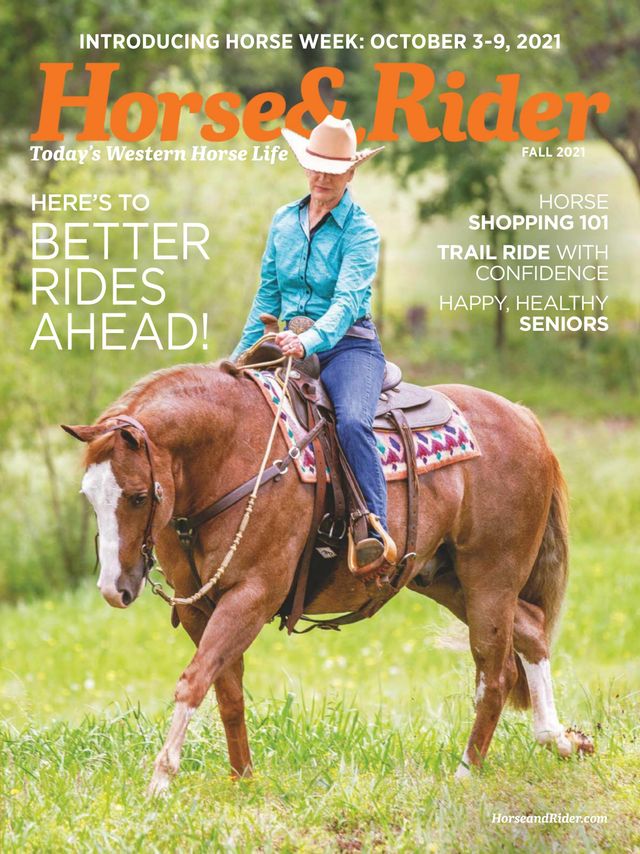 Horse and Rider