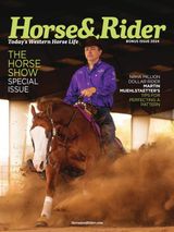 Bonus Issue 2024