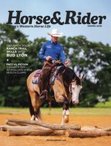 Horse and Rider