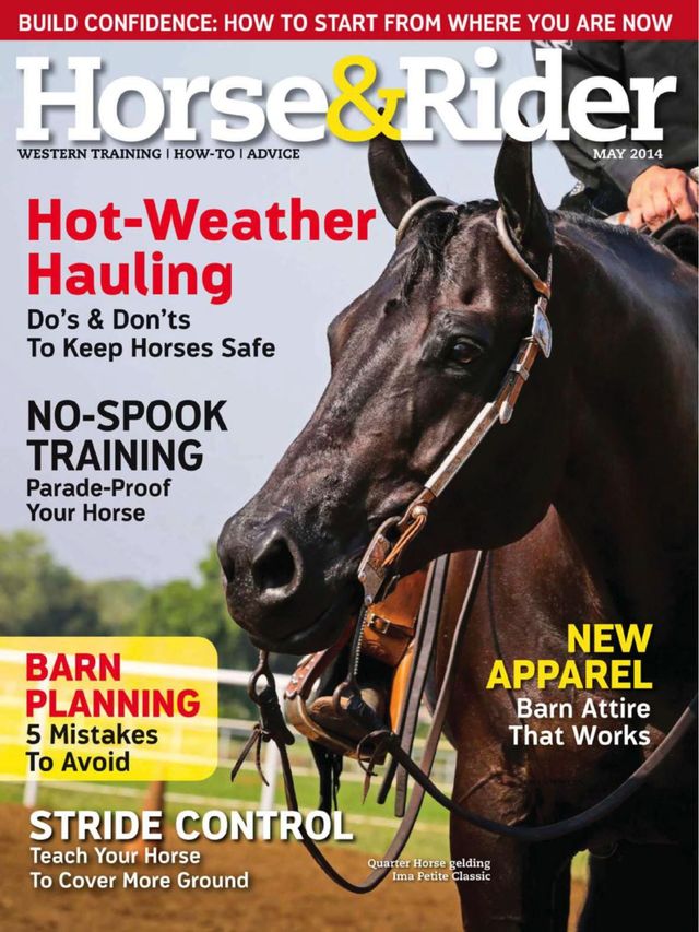 मैगज़्टर गोल्ड के साथ असीमित हो जाओ