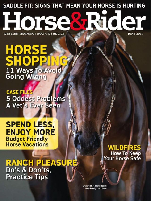 मैगज़्टर गोल्ड के साथ असीमित हो जाओ