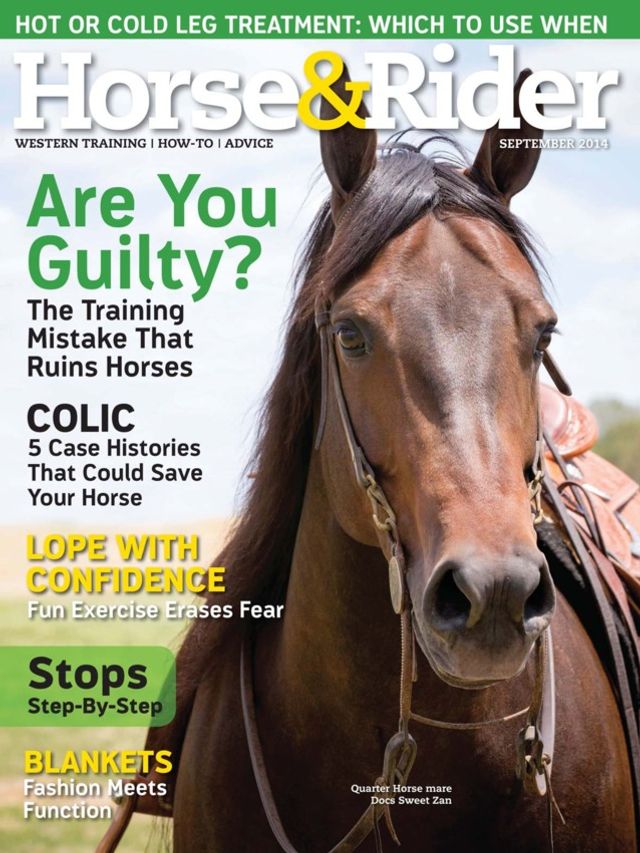 Magzter GOLDで無制限に