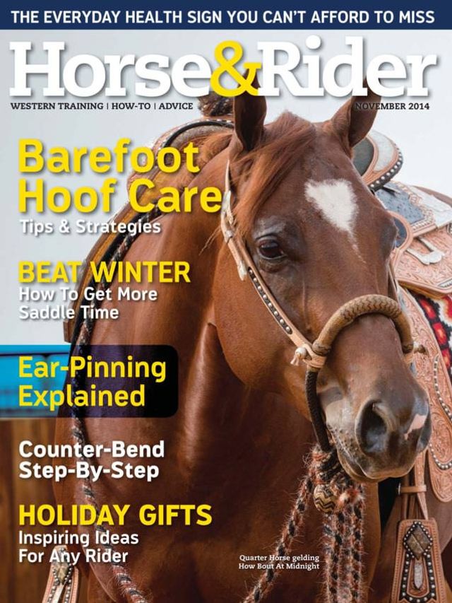 Magzter GOLDで無制限に