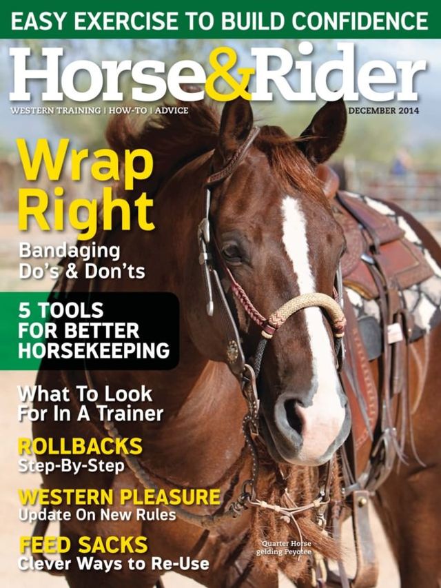 Magzter GOLDで無制限に