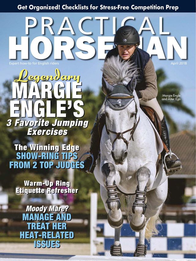 Practical Horseman