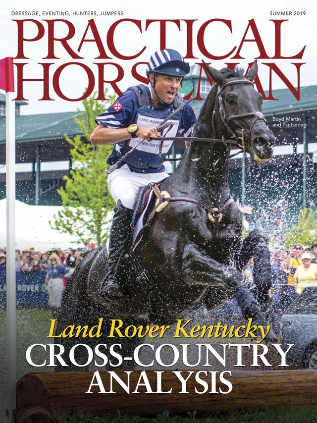 Practical Horseman